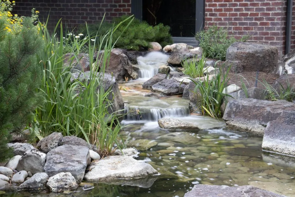 Bassin de jardin avec cascade entre rochers et plantes